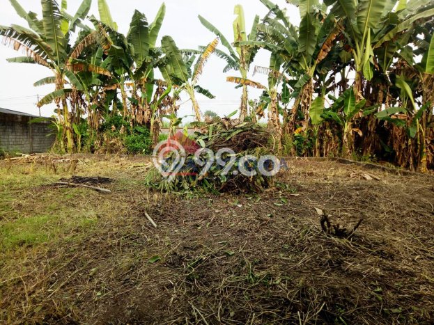 Ruko Dijual di Papar Kediri dengan LB 266m2 Ruko Dijual di Papar Kediri dengan LB 266m2