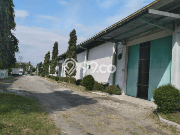 Pabrik Dijual Lokasi Stratagis di Sidoharjo Sragen Cocok untuk Investasi Pabrik Dijual Lokasi Stratagis di Sidoharjo Sragen Cocok untuk Investasi