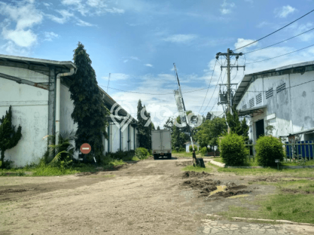 Pabrik Dijual Lokasi Stratagis di Sidoharjo Sragen Cocok untuk Investasi Pabrik Dijual Lokasi Stratagis di Sidoharjo Sragen Cocok untuk Investasi