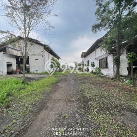 Lokasi Strategis! Dijual Pabrik Bisnis di Sidoarjo, Sidoarjo Kondisi Bagus Lokasi Strategis! Dijual Pabrik Bisnis di Sidoarjo, Sidoarjo Kondisi Bagus