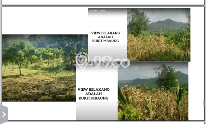 Komersial Dijual di Kawasan Purwodadi, Pasuruan Harga Kompetitif Komersial Dijual di Kawasan Purwodadi, Pasuruan Harga Kompetitif