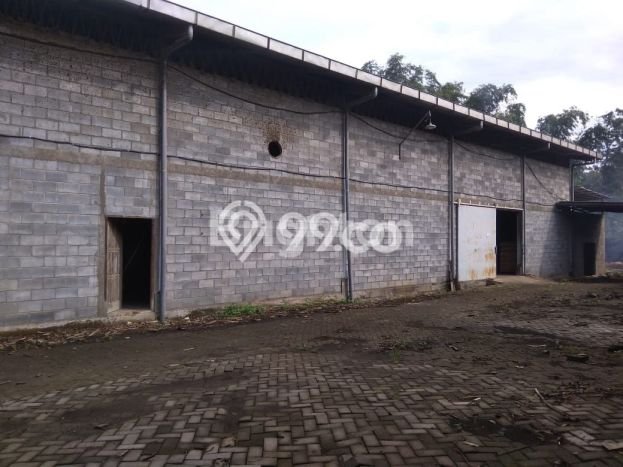 Gudang Favorit Dijual di Purwodadi Pasuruan Kawasan Pusat Bisnis Gudang Favorit Dijual di Purwodadi Pasuruan Kawasan Pusat Bisnis
