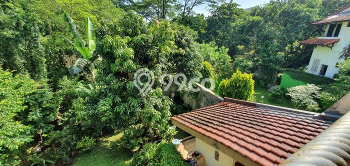 Dijual Rumah Premium dengan Fasilitas Sekitar Komplit di Cinere, Depok Dijual Rumah Premium dengan Fasilitas Sekitar Komplit di Cinere, Depok
