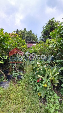 For Sale! Premium House LT 998m2 Desain Modern di Batu For Sale! Premium House LT 998m2 Desain Modern di Batu