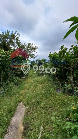 For Sale! Premium House LT 998m2 Desain Modern di Batu For Sale! Premium House LT 998m2 Desain Modern di Batu