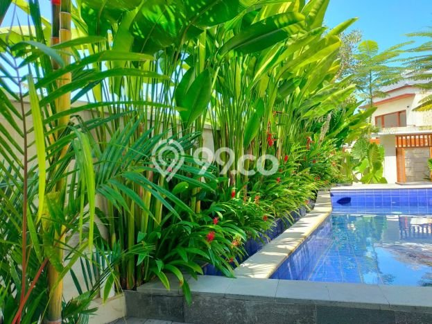 Sewa Rumah Harga Terjangkau di Canggu Badung Punya 3 Kamar Tidur Sewa Rumah Harga Terjangkau di Canggu Badung Punya 3 Kamar Tidur