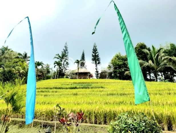 Rumah di Belimbing, 1 KM, Area Nyaman Rumah di Belimbing, 1 KM, Area Nyaman