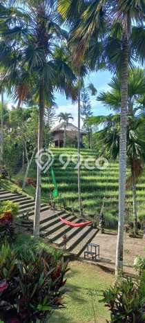 Rumah di Belimbing, 1 KM, Area Nyaman Rumah di Belimbing, 1 KM, Area Nyaman