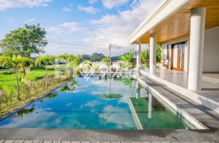 Rumah Kontrakan Gianyar LT 500m2 LB 400m2 Kawasan Mas Rumah Kontrakan Gianyar LT 500m2 LB 400m2 Kawasan Mas