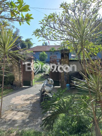Disewakan Rumah Harga Terjangkau di Batubulan Gianyar dengan 3 KT Disewakan Rumah Harga Terjangkau di Batubulan Gianyar dengan 3 KT