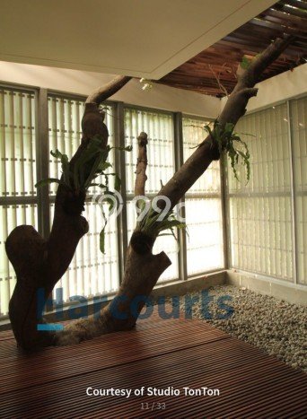 Dijual Rumah Luas Megah Dengan View Eksklusif di Pejaten, Jakarta Selatan Dijual Rumah Luas Megah Dengan View Eksklusif di Pejaten, Jakarta Selatan