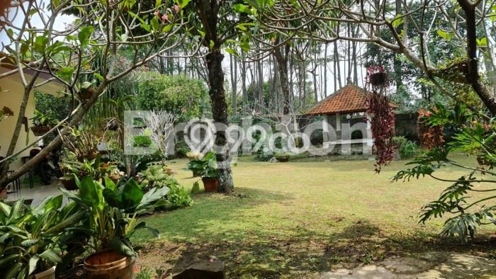 Hot Offer Hunian Premium Ideal dan Luas di Sukaraja, Bogor Hot Offer Hunian Premium Ideal dan Luas di Sukaraja, Bogor