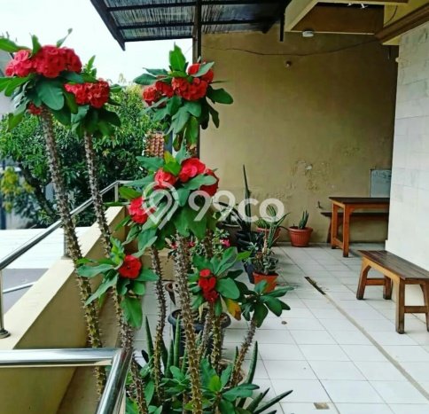 Rumah Mewah LT 164m² / LB 300m² di Kawasan Nyaman Turangga, Bandung Rumah Mewah LT 164m² / LB 300m² di Kawasan Nyaman Turangga, Bandung