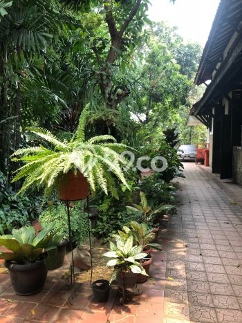 Dijual Rumah Premium dengan Fasilitas Sekitar Komplit di Matraman, Jakarta Timur Dijual Rumah Premium dengan Fasilitas Sekitar Komplit di Matraman, Jakarta Timur