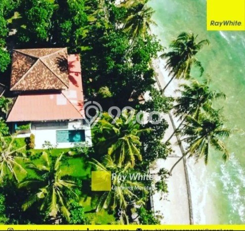 Rumah Mewah Akses Strategis di Lampung Barat Rumah Mewah Akses Strategis di Lampung Barat