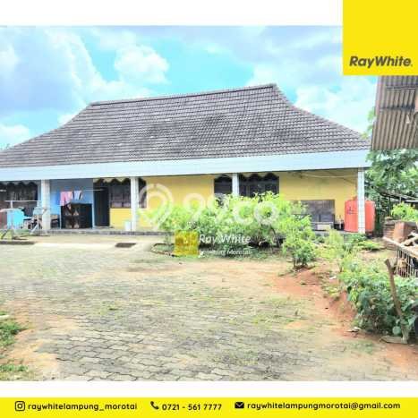 Siap Huni Hunian Elit 1 Kamar di Kedaton Dekat ke Mana Saja Siap Huni Hunian Elit 1 Kamar di Kedaton Dekat ke Mana Saja