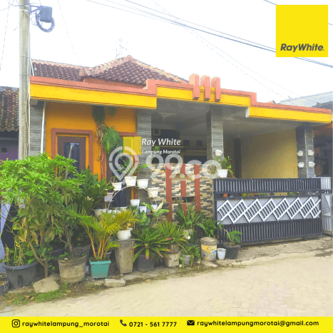 Dijual Rumah Siap Huni di Sukarame Bandar Lampung Harga Rp 475 Juta LT 92m2 Dijual Rumah Siap Huni di Sukarame Bandar Lampung Harga Rp 475 Juta LT 92m2