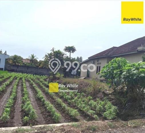 Jual Rumah Strategis Bagus Punya 4 KT di Kemiling Bandar Lampung SHM Jual Rumah Strategis Bagus Punya 4 KT di Kemiling Bandar Lampung SHM