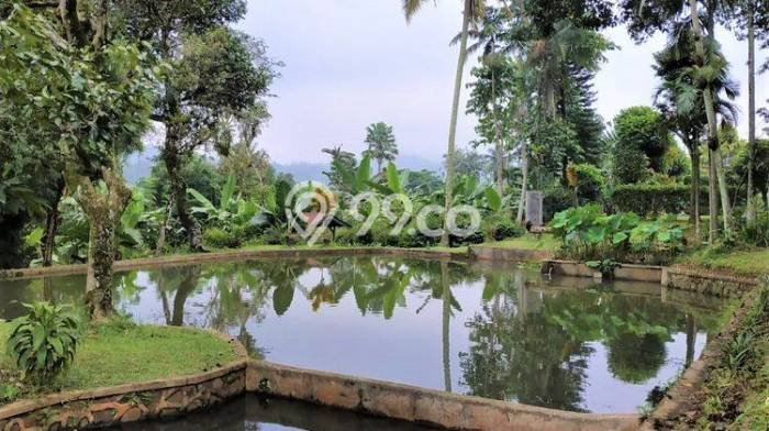 Dijual Rumah Premium dengan Fasilitas Sekitar Komplit di Megamendung, Bogor Dijual Rumah Premium dengan Fasilitas Sekitar Komplit di Megamendung, Bogor