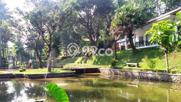 Dijual Rumah Premium dengan Fasilitas Sekitar Komplit di Megamendung, Bogor Dijual Rumah Premium dengan Fasilitas Sekitar Komplit di Megamendung, Bogor