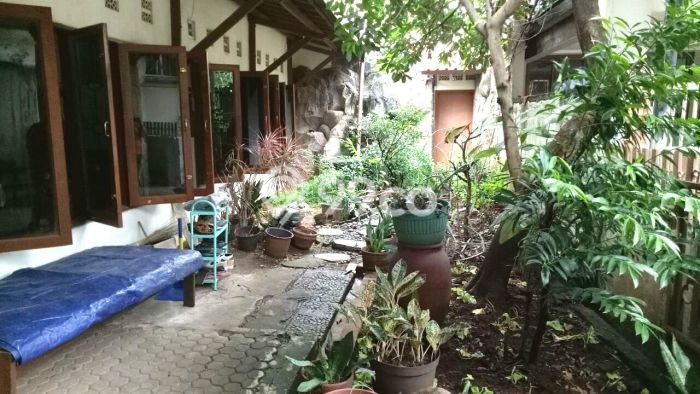 Siap Huni Rumah Mewah 3 Kamar di Cilandak Dekat ke Mana Pun Siap Huni Rumah Mewah 3 Kamar di Cilandak Dekat ke Mana Pun