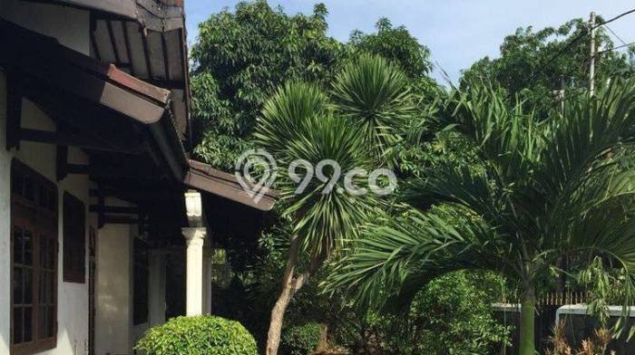 Hunian Mewah LB 365m2 Siap Pakai Desain Elegan di Kayu Putih, Jakarta Timur Hunian Mewah LB 365m2 Siap Pakai Desain Elegan di Kayu Putih, Jakarta Timur