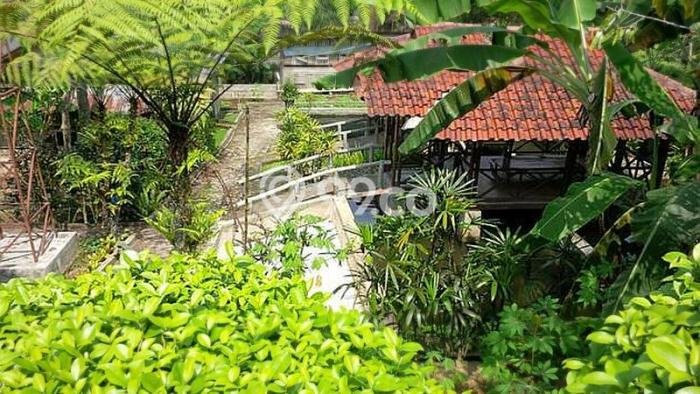 Rumah Kualitas Premium 5 Kamar Tidur Lokasi Strategis di Jantung Kota Cipanas, Cianjur Rumah Kualitas Premium 5 Kamar Tidur Lokasi Strategis di Jantung Kota Cipanas, Cianjur