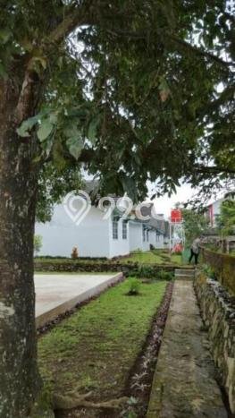 Rumah Eksklusif Siap Huni LT 3000m2 di Cipanas, Cianjur Rumah Eksklusif Siap Huni LT 3000m2 di Cipanas, Cianjur