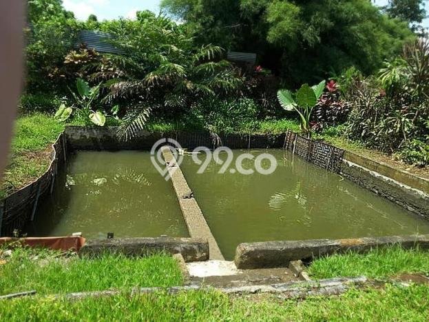 Jual Cepat Hunian Mewah Klasik di Bogor Jual Cepat Hunian Mewah Klasik di Bogor