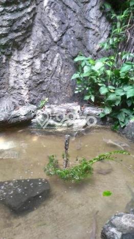 Dijual Hunian Rumah Nyaman 4 KT di Bintaro, Tangerang Selatan Dijual Hunian Rumah Nyaman 4 KT di Bintaro, Tangerang Selatan