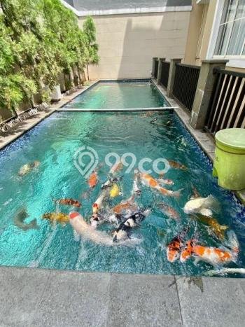 Rumah Luxury Modern Siap Huni di Alam Sutera Tangerang Rumah Luxury Modern Siap Huni di Alam Sutera Tangerang