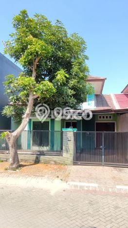 HARGA SPESIAL! Rumah di Gedangan, Sidoarjo, LT 135m2m² LB 85m2m² HARGA NEGO! HARGA SPESIAL! Rumah di Gedangan, Sidoarjo, LT 135m2m² LB 85m2m² HARGA NEGO!