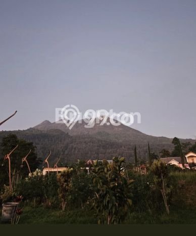 Rumah Eksklusif Dijual LT 3000m2 di Karanganyar, Solo Rumah Eksklusif Dijual LT 3000m2 di Karanganyar, Solo