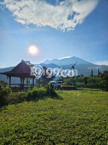 Rumah Eksklusif Dijual LT 3000m2 di Karanganyar, Solo Rumah Eksklusif Dijual LT 3000m2 di Karanganyar, Solo