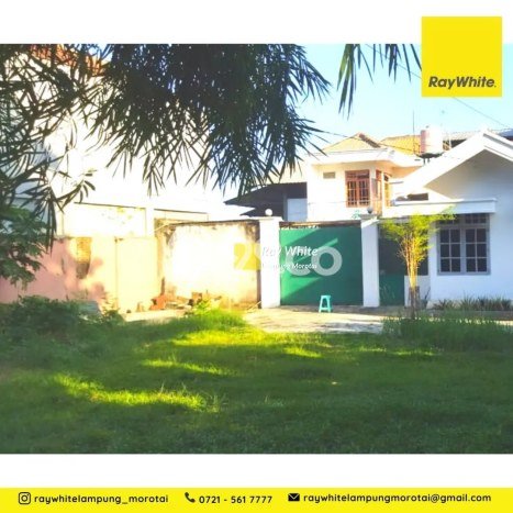 Disewakan Cepat Rumah Kondisi Baik di Area Way Halim, Bandar Lampung Disewakan Cepat Rumah Kondisi Baik di Area Way Halim, Bandar Lampung
