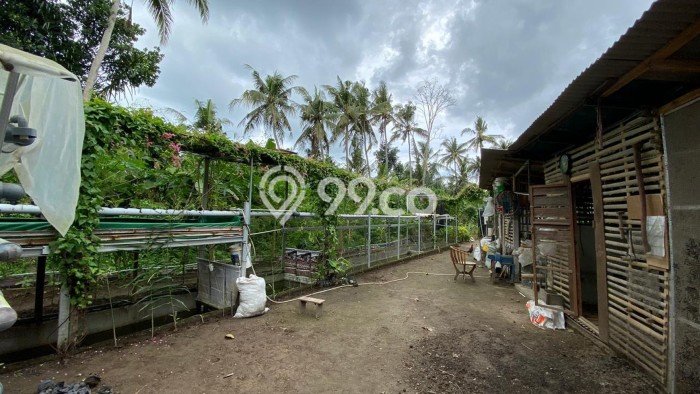 Bisa KPR! Rumah Asri area Gianyar, Luas 2795m2m² Bangunan 1600m2m² Bisa KPR! Rumah Asri area Gianyar, Luas 2795m2m² Bangunan 1600m2m²