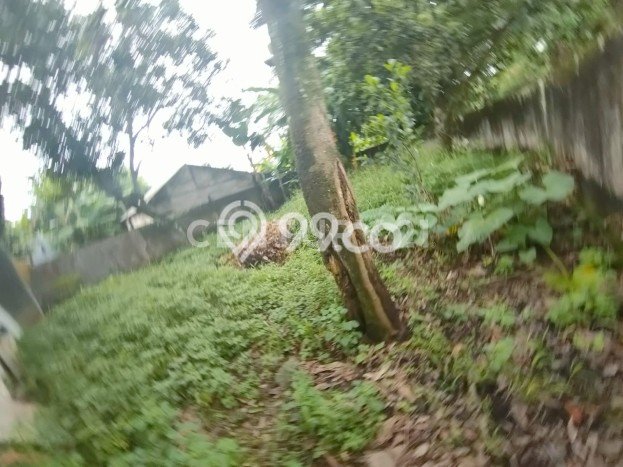 SEGERA MILIKI! Rumah area Cibinong, Bogor, LT 358m² Bangunan 100m² SEGERA MILIKI! Rumah area Cibinong, Bogor, LT 358m² Bangunan 100m²