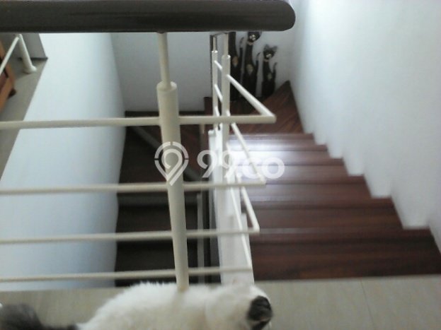 Jual Rumah Minimalis Bagus Punya 4 KT di Jagakarsa Jakarta Selatan SHM Jual Rumah Minimalis Bagus Punya 4 KT di Jagakarsa Jakarta Selatan SHM