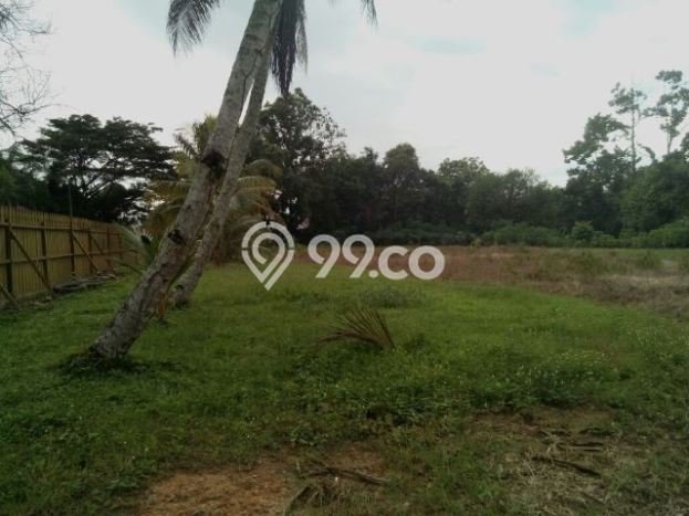 Rumah Terawat area Balikpapan Utara, Balikpapan, Luas Tanah 52630m2m², LB 1000m2m² Rumah Terawat area Balikpapan Utara, Balikpapan, Luas Tanah 52630m2m², LB 1000m2m²