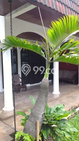 Kesempatan Emas Memiliki Rumah LT 787m² / LB 300m² di Kawasan Bisnis Cipete, Jakarta Selatan Kesempatan Emas Memiliki Rumah LT 787m² / LB 300m² di Kawasan Bisnis Cipete, Jakarta Selatan