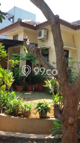 Rumah Luas Asri 2 KT Siap Pakai di Bintaro Tangerang Selatan Rumah Luas Asri 2 KT Siap Pakai di Bintaro Tangerang Selatan