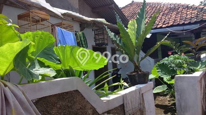 Rumah Idaman 2 KT Hemat Budget di Cihampelas Bandung Rumah Idaman 2 KT Hemat Budget di Cihampelas Bandung