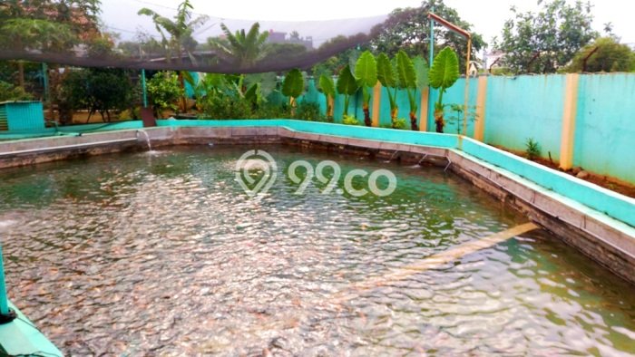 Jual Rumah Luas Megah Dengan View Cantik di Curug Mekar, Bogor Jual Rumah Luas Megah Dengan View Cantik di Curug Mekar, Bogor