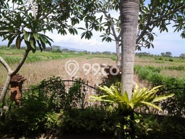 Jual Rumah Luas Megah Dengan View Eksklusif di Saba, Gianyar Jual Rumah Luas Megah Dengan View Eksklusif di Saba, Gianyar