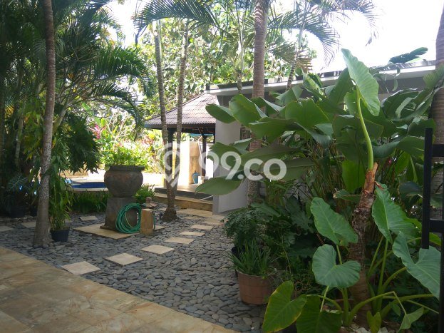 Rumah area Jimbaran, Badung, LT 270m² Bangunan 200m² - INVESTASI TERBAIK! Rumah area Jimbaran, Badung, LT 270m² Bangunan 200m² - INVESTASI TERBAIK!