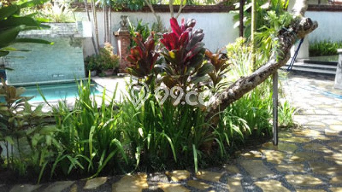 SPECIAL OFFER! Rumah area Kerobokan, 2 KM, Lingkungan Strategis, Luas 350m² Bangunan 100m² SPECIAL OFFER! Rumah area Kerobokan, 2 KM, Lingkungan Strategis, Luas 350m² Bangunan 100m²