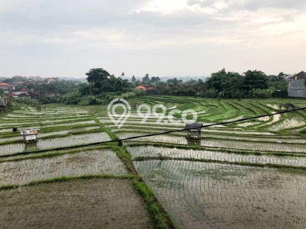 Dijual Rumah Minimalis Bagus Punya 4 KT di Ubung Denpasar SHM Dijual Rumah Minimalis Bagus Punya 4 KT di Ubung Denpasar SHM
