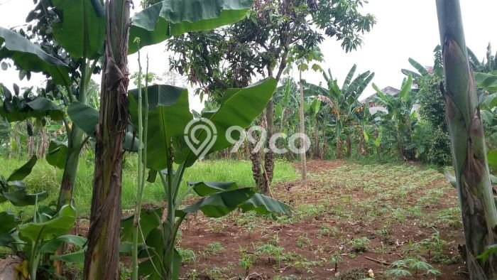 Hunian Murah Bagus Dijual di Tangerang, Banten Hunian Murah Bagus Dijual di Tangerang, Banten