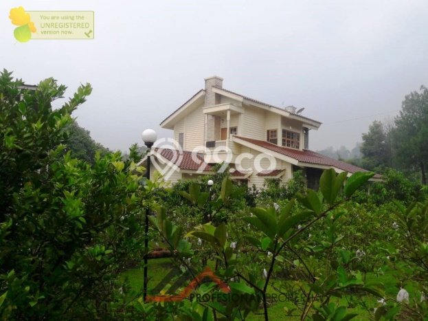 Dijual Rumah Luas Megah Dengan View Cantik di Puncak, Bogor Dijual Rumah Luas Megah Dengan View Cantik di Puncak, Bogor