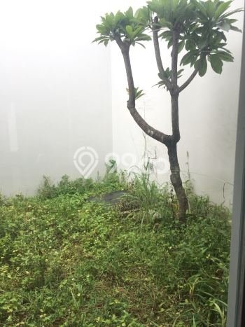 Siap Huni Rumah Mewah 3 Kamar di Kebayoran Lama Dekat ke Mana Saja Siap Huni Rumah Mewah 3 Kamar di Kebayoran Lama Dekat ke Mana Saja